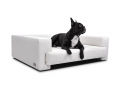 Bild 4 von mypado Boston Kunstleder-Premium Hundesofa