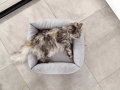 Bild 3 von mypado Sena Silver Katzenbett  / (Farbe) Silber